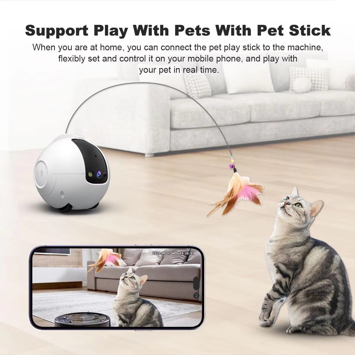 OEM customization options for pet robot