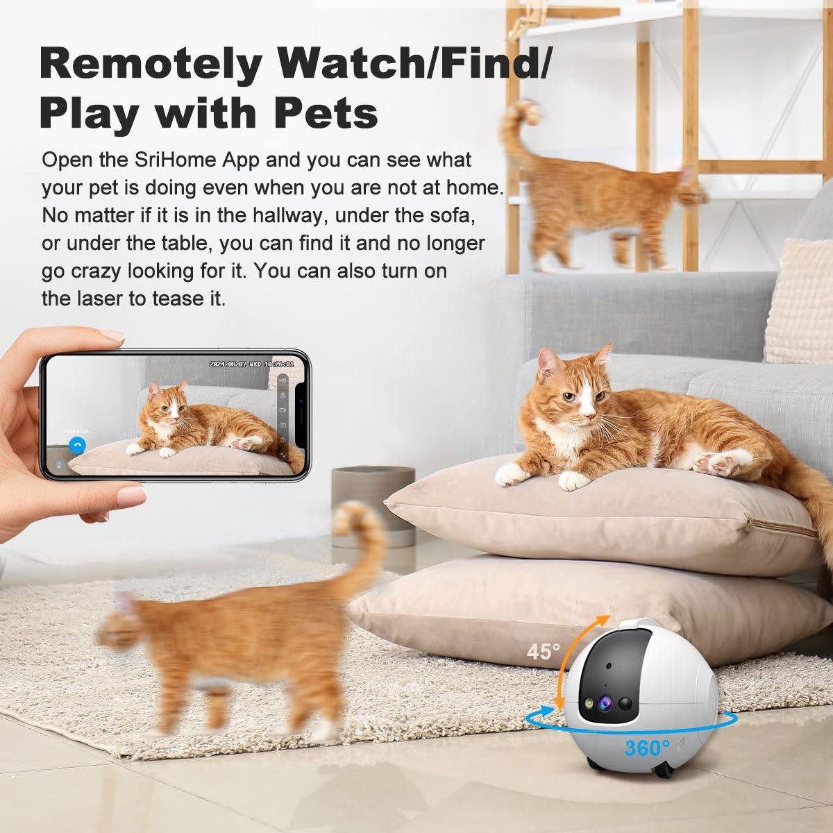 Cat Interactive Ball Toy