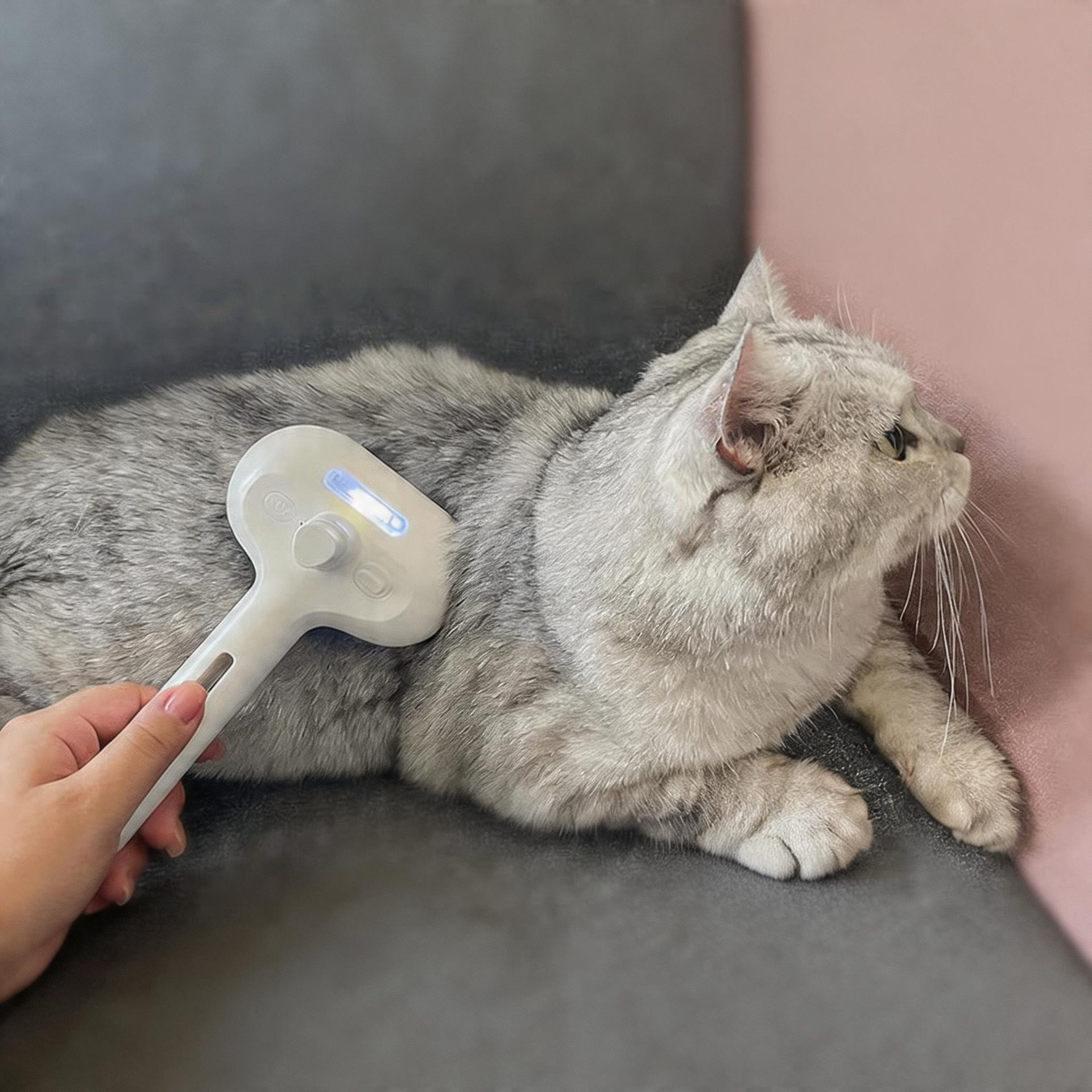 Pet Hair Remover Brush